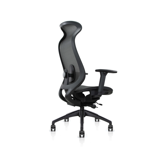 Fotel ergonomiczny SPACEDUST304