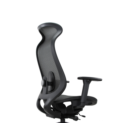Fotel ergonomiczny SPACEDUST304