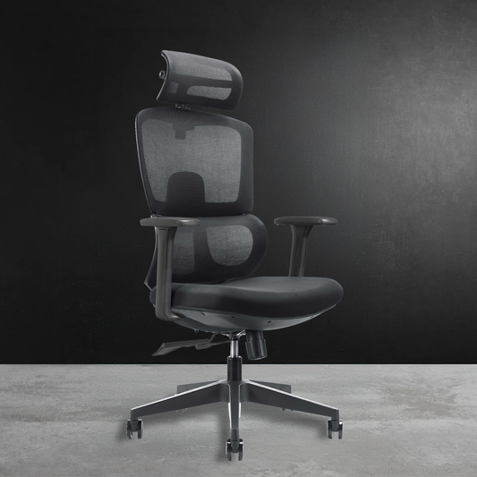 Fotel ergonomiczny SPACEDUST301