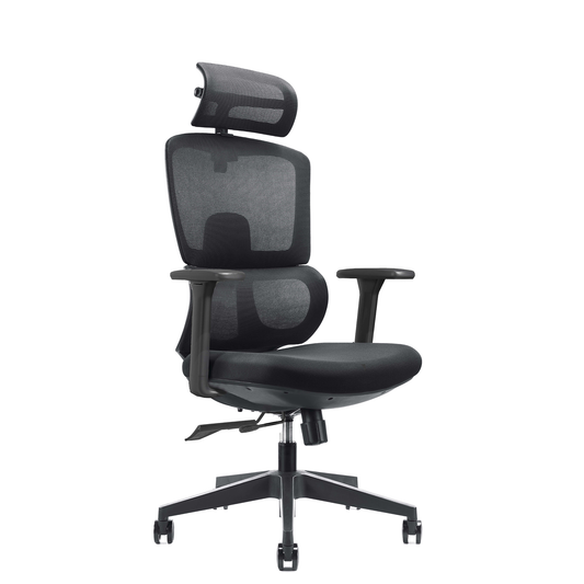 Fotel ergonomiczny SPACEDUST301