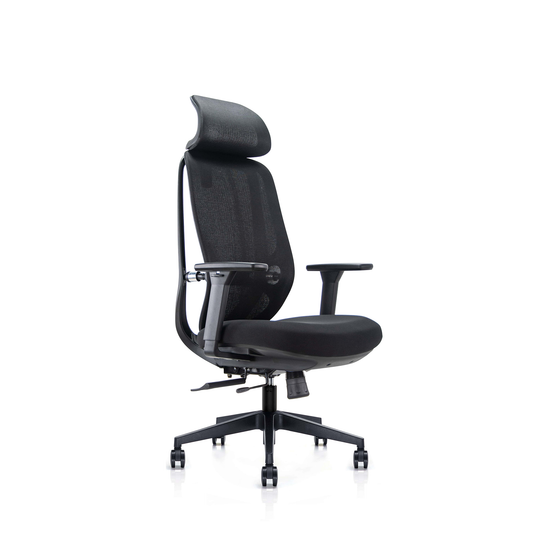Fotel ergonomiczny SPACEDUST302