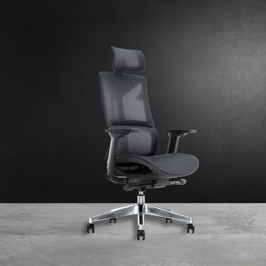 Fotel ergonomiczny SPACEDUST305