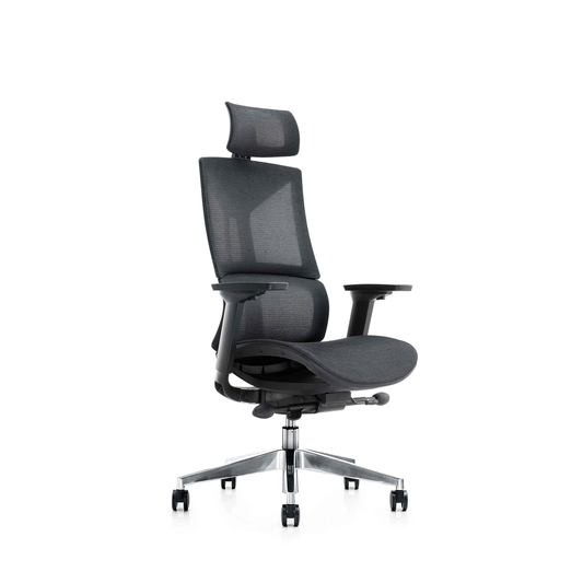 Fotel ergonomiczny SPACEDUST305