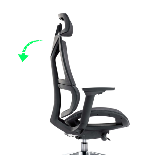 Fotel ergonomiczny SPACEDUST305