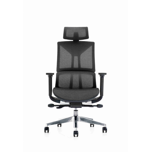 Fotel ergonomiczny SPACEDUST305
